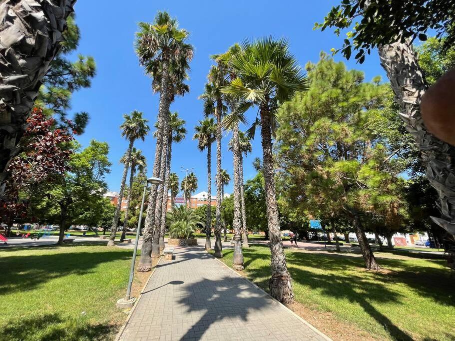 Sol Y Playa Costa Blanca Lejlighed Torrevieja Eksteriør billede